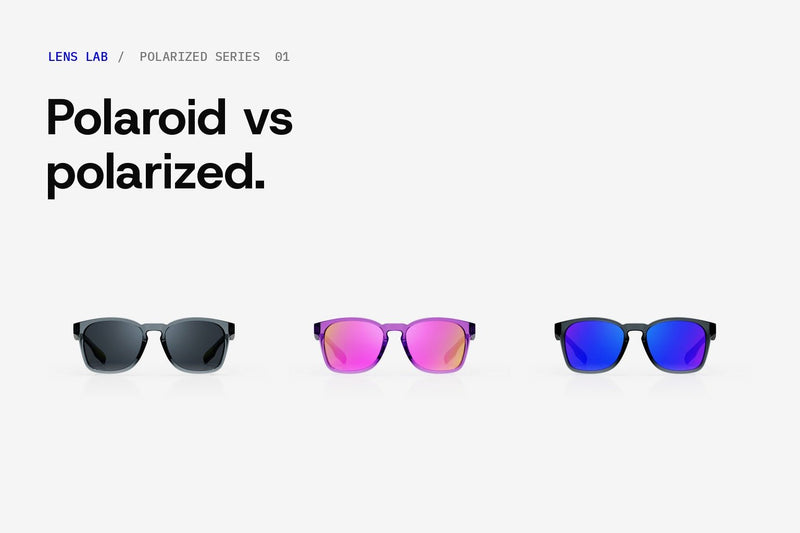 Loft polarized sunglasses in three colorways