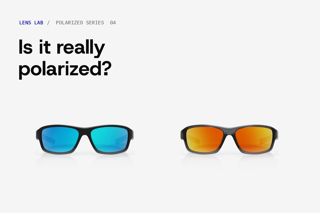 Nova polarized sunglasses in two colorways